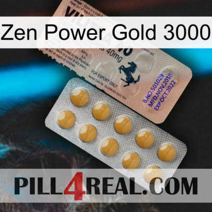 Zen Power Gold 3000 41